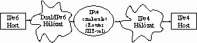 SIIT overview